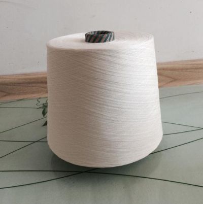 點擊查看詳細信息<br>標(biāo)題：G100天絲紗 閱讀次數(shù)：2893