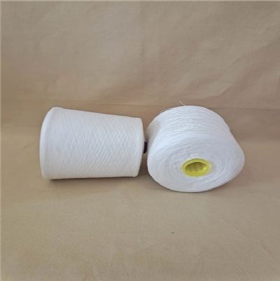 點擊查看詳細信息<br>標題：純棉合股紗 閱讀次數(shù)：857